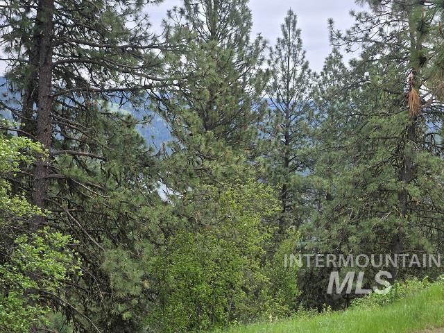 1510 Summitview Driave Property Photo 42