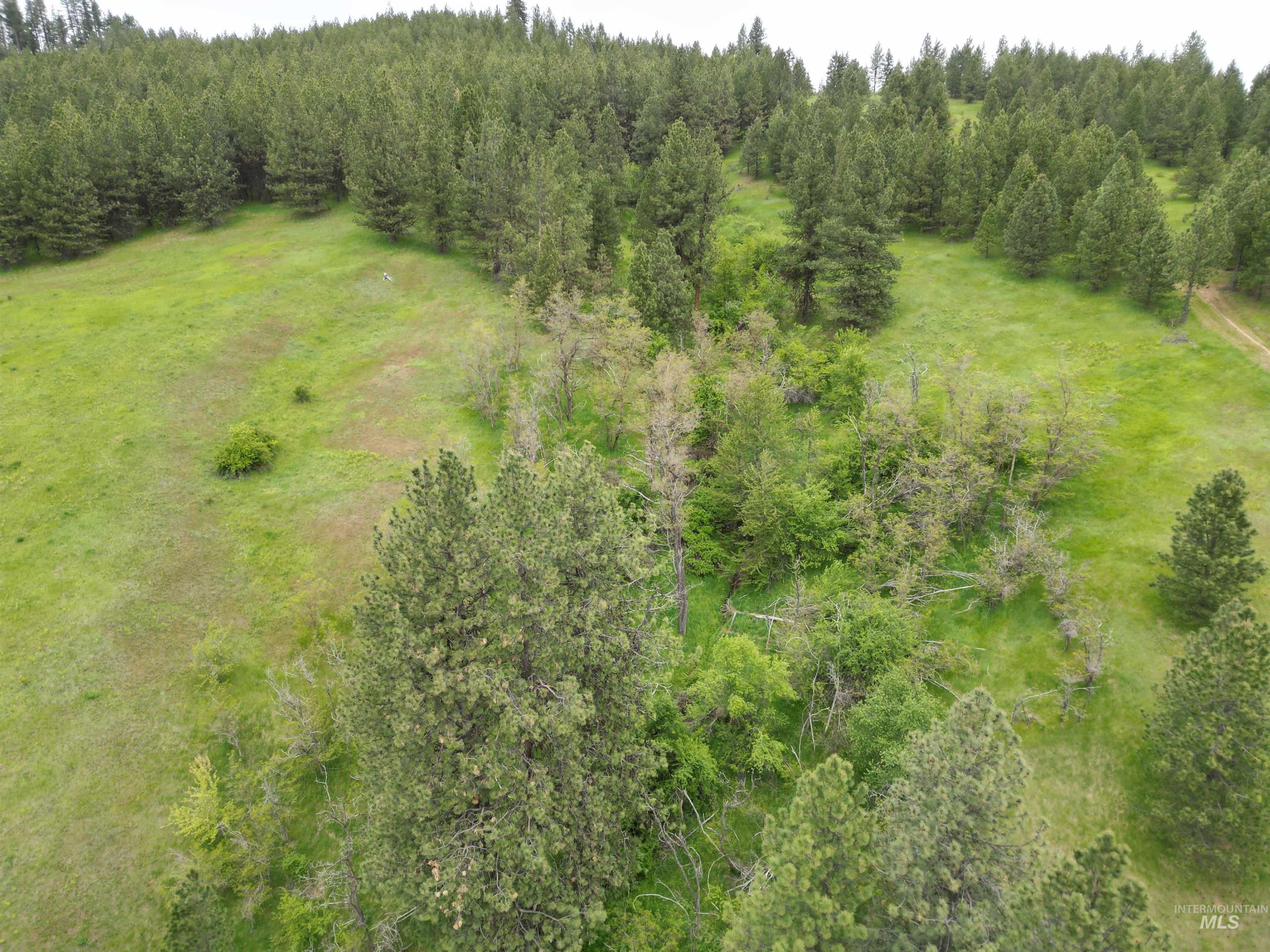 1510 Summitview Driave Property Photo 46