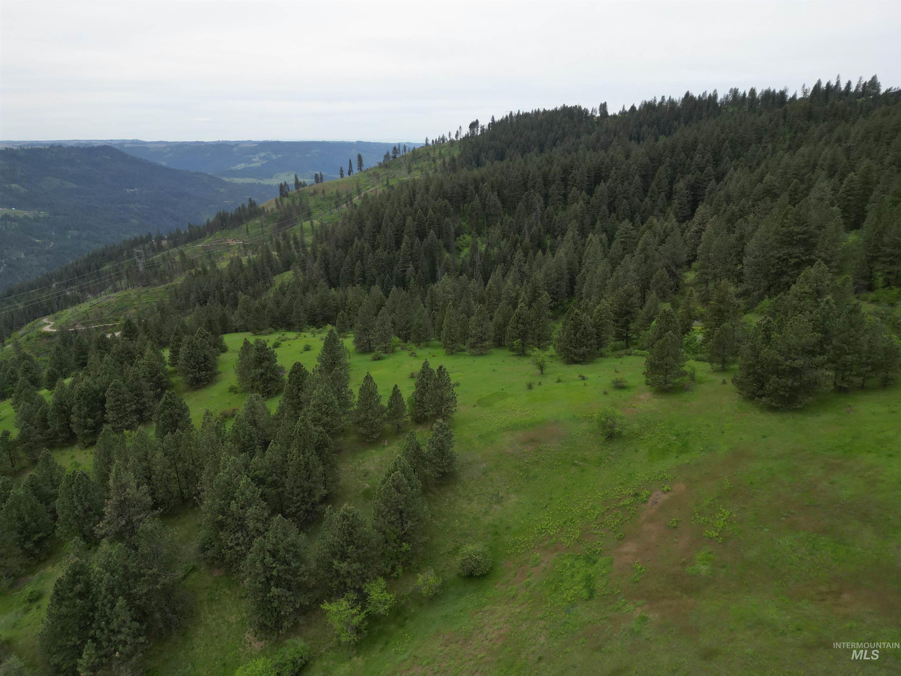 1510 Summitview Driave Property Photo 47