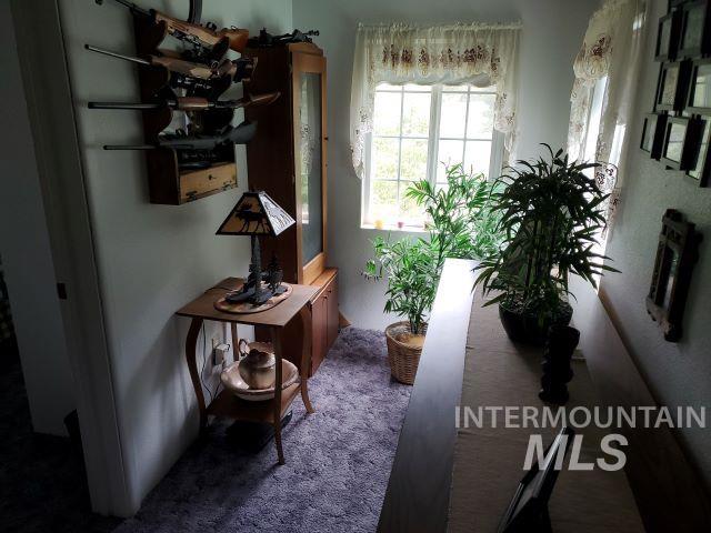 3460 American River Rd Property Photo 18