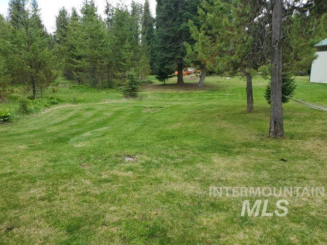 3460 American River Rd Property Photo 28