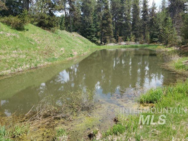 3460 American River Rd Property Photo 42