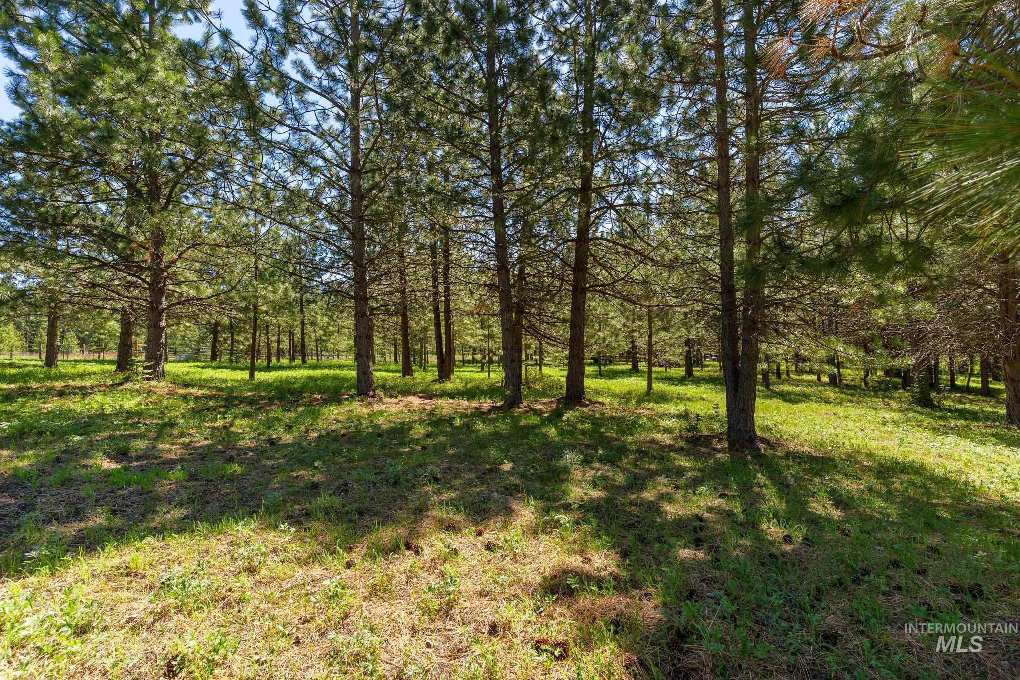 507 Bearlea Road Property Photo 43