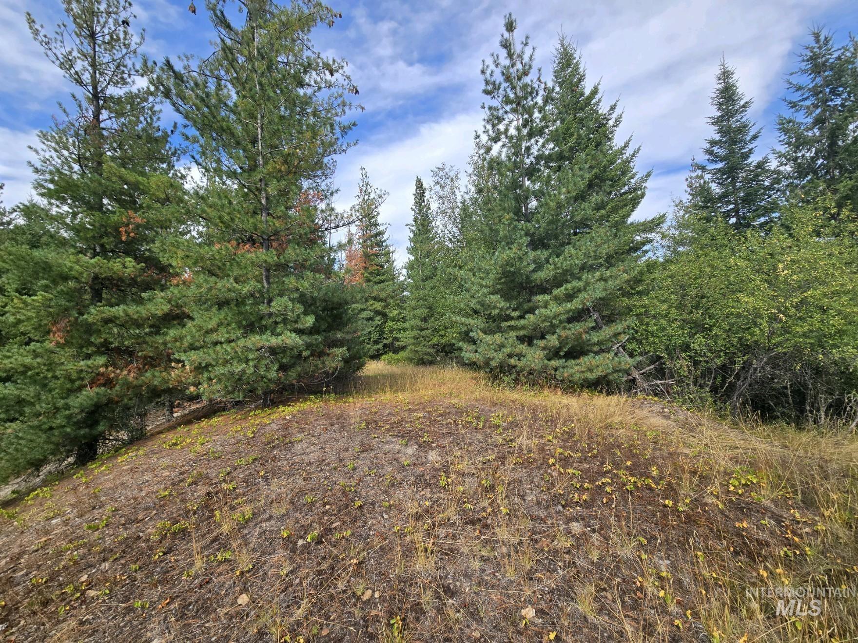 Nna-e Silver Valley Road Property Photo 14