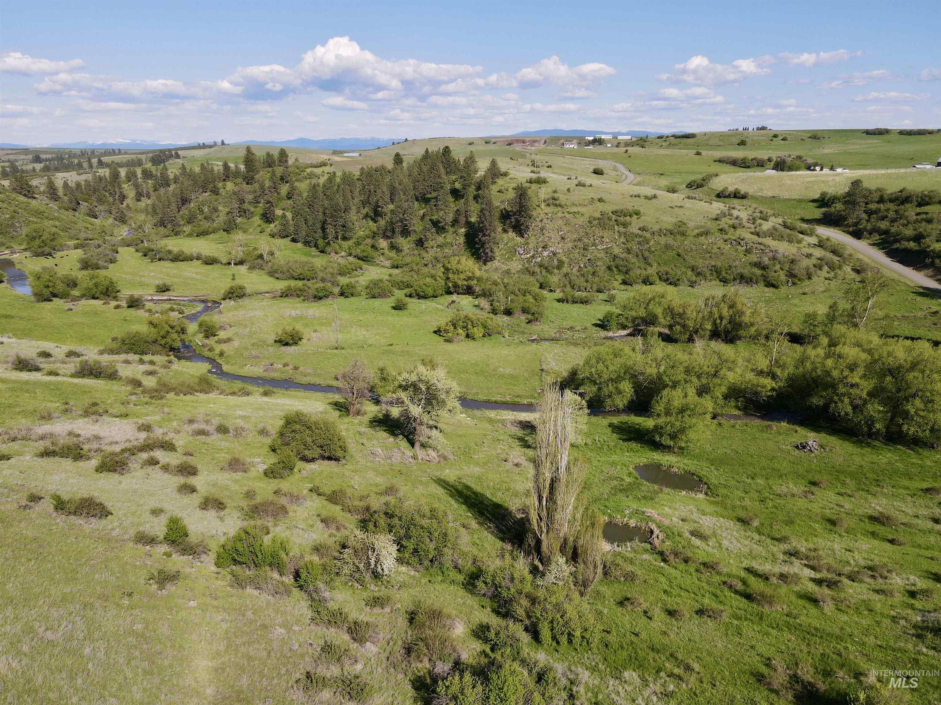 1349 Reservation Line Road Property Photo 8