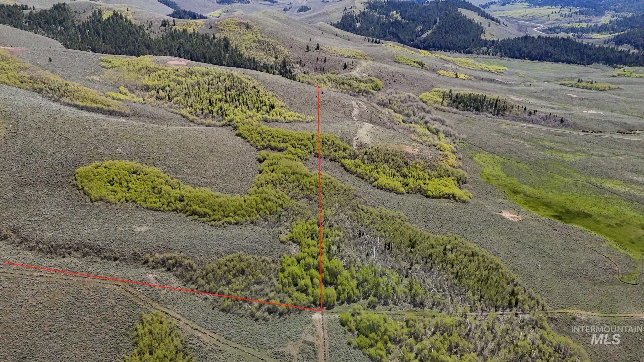 Tbd White Ridge Rd Property Photo 6