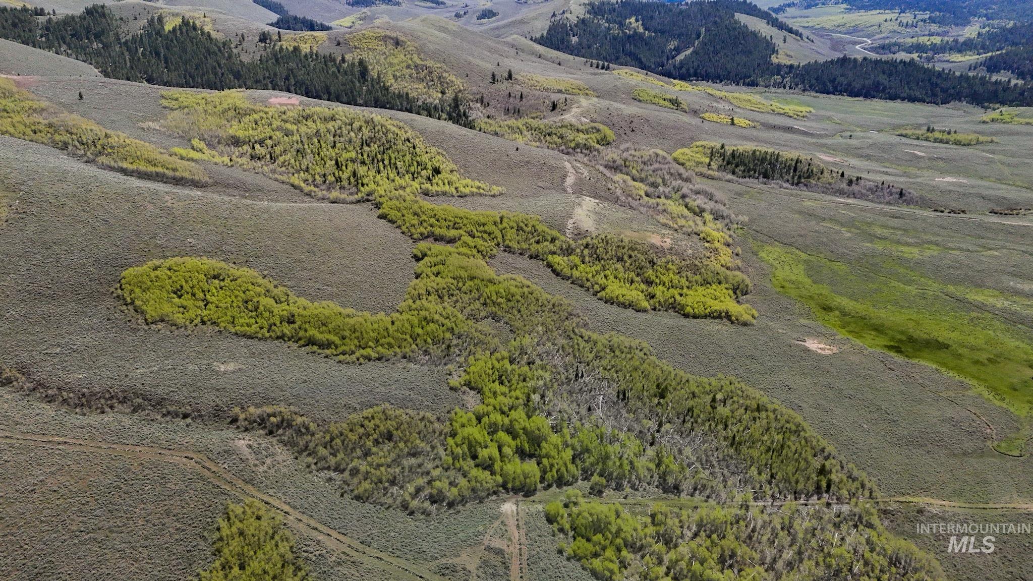 Tbd White Ridge Rd Property Photo 7