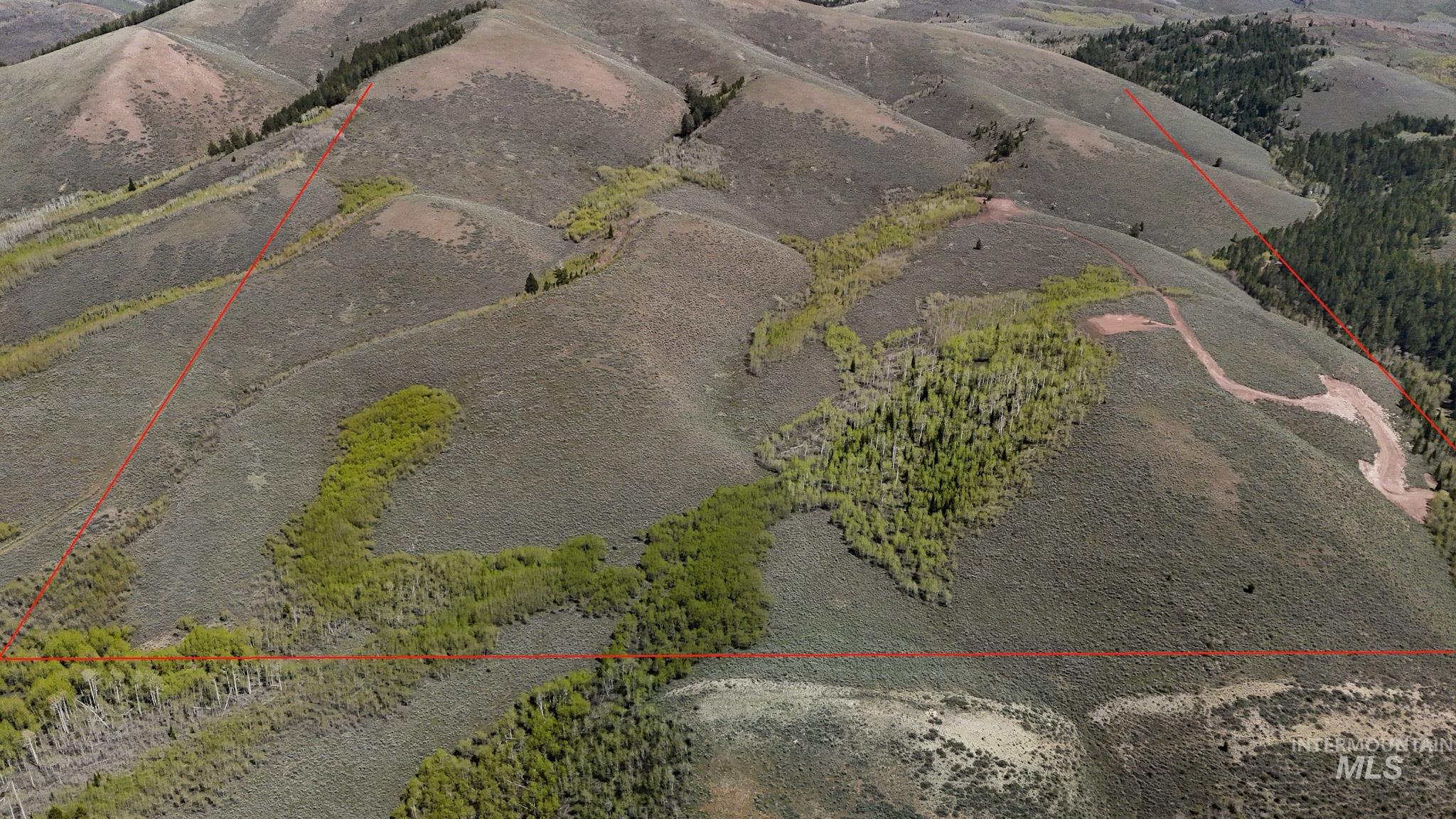 Tbd White Ridge Rd Property Photo 8