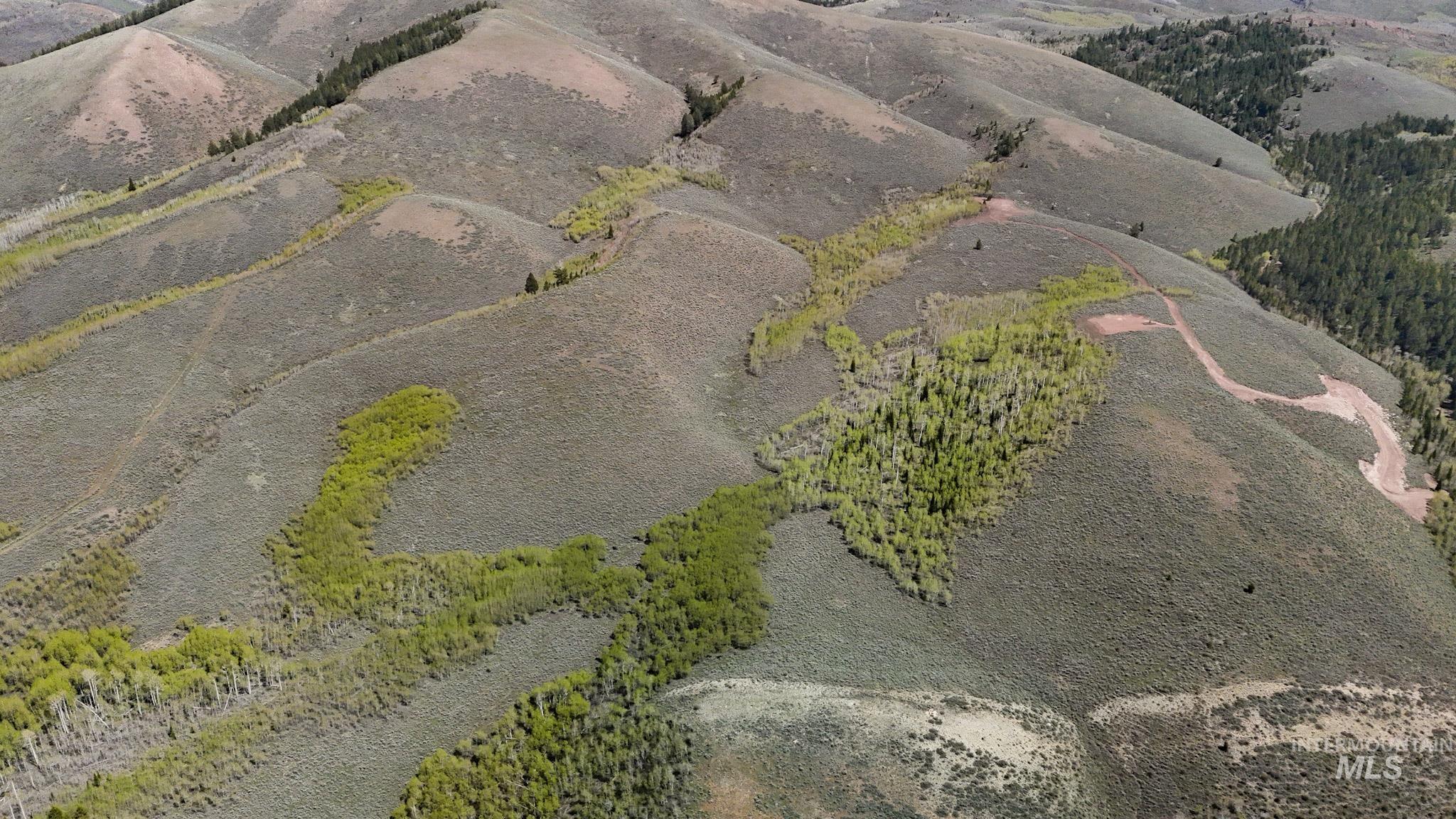 Tbd White Ridge Rd Property Photo 9