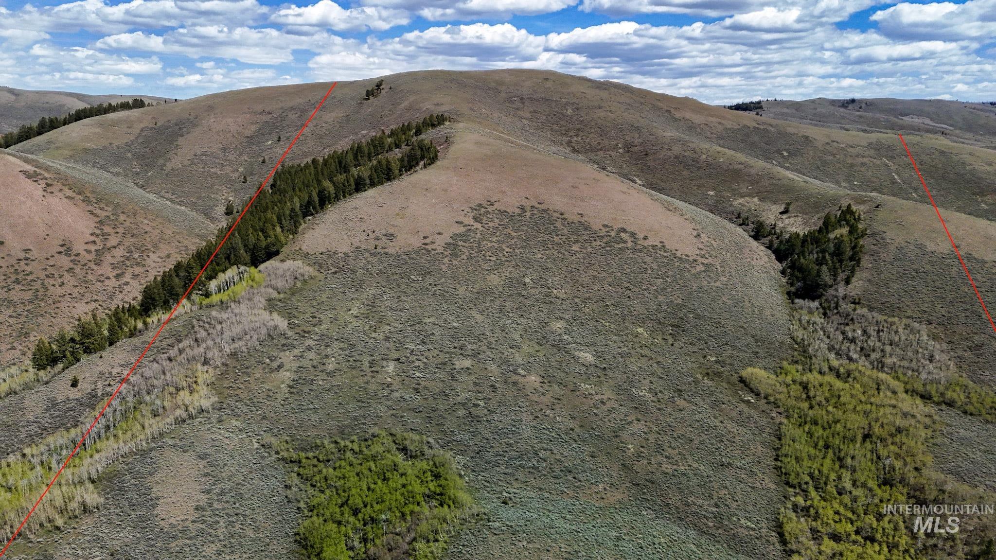 Tbd White Ridge Rd Property Photo 10