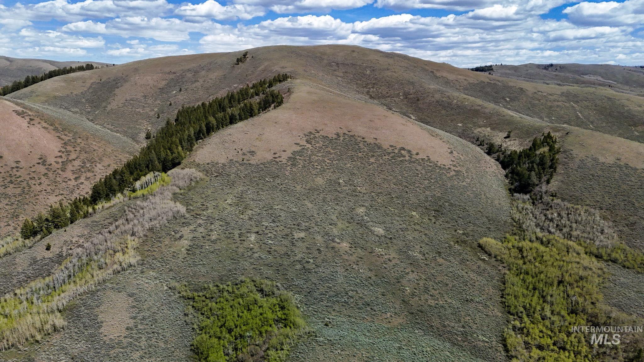 Tbd White Ridge Rd Property Photo 11