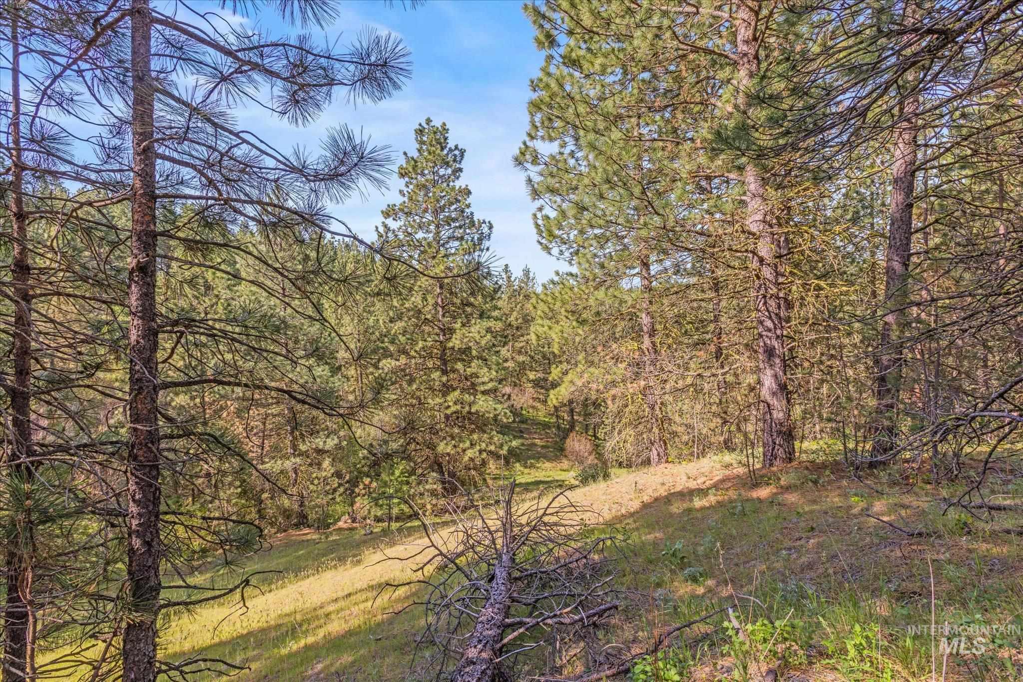 1 Sunset Trail Property Photo 33