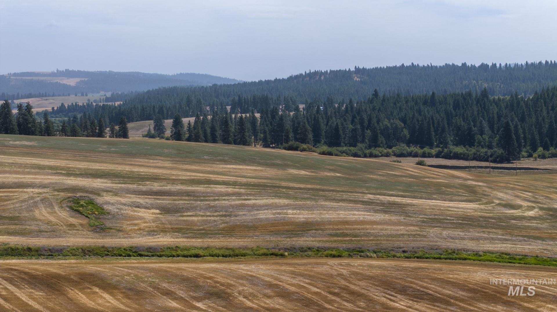 Tbd Garnet Lane, 11.67 +/- Ac Property Photo 5