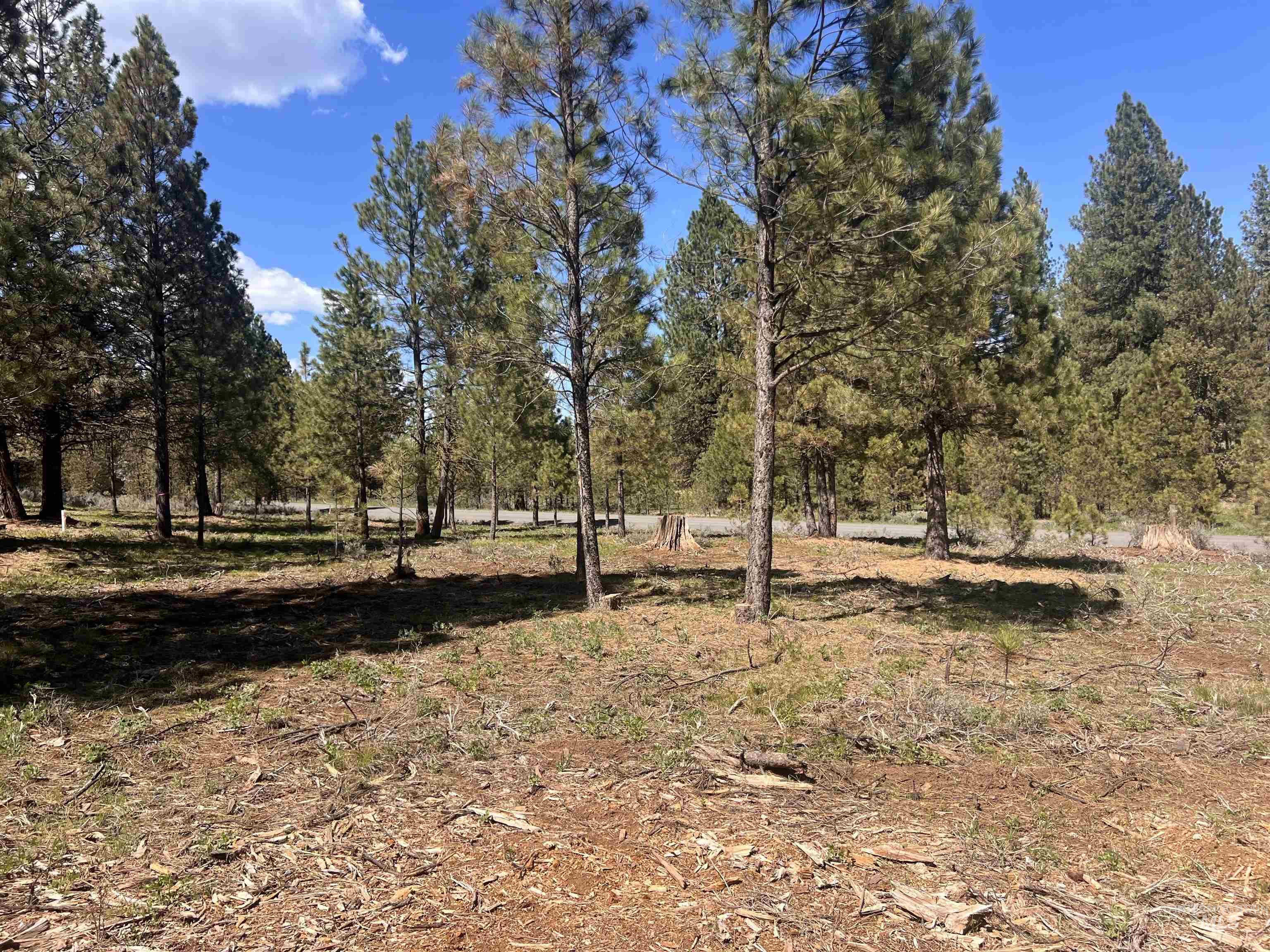 Lot 44 Old Hwy 95 Property Photo 4