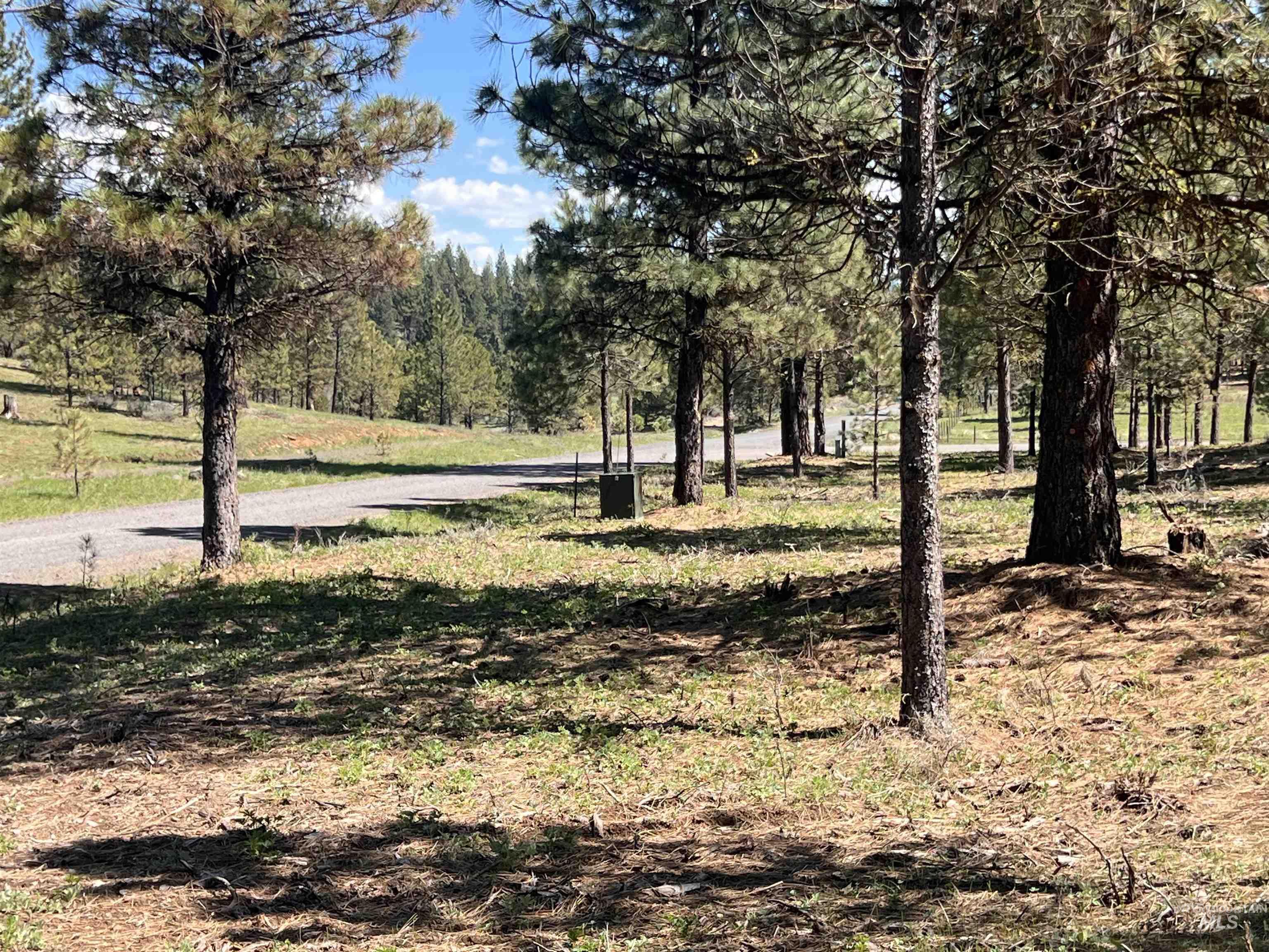 Lot 44 Old Hwy 95 Property Photo 5