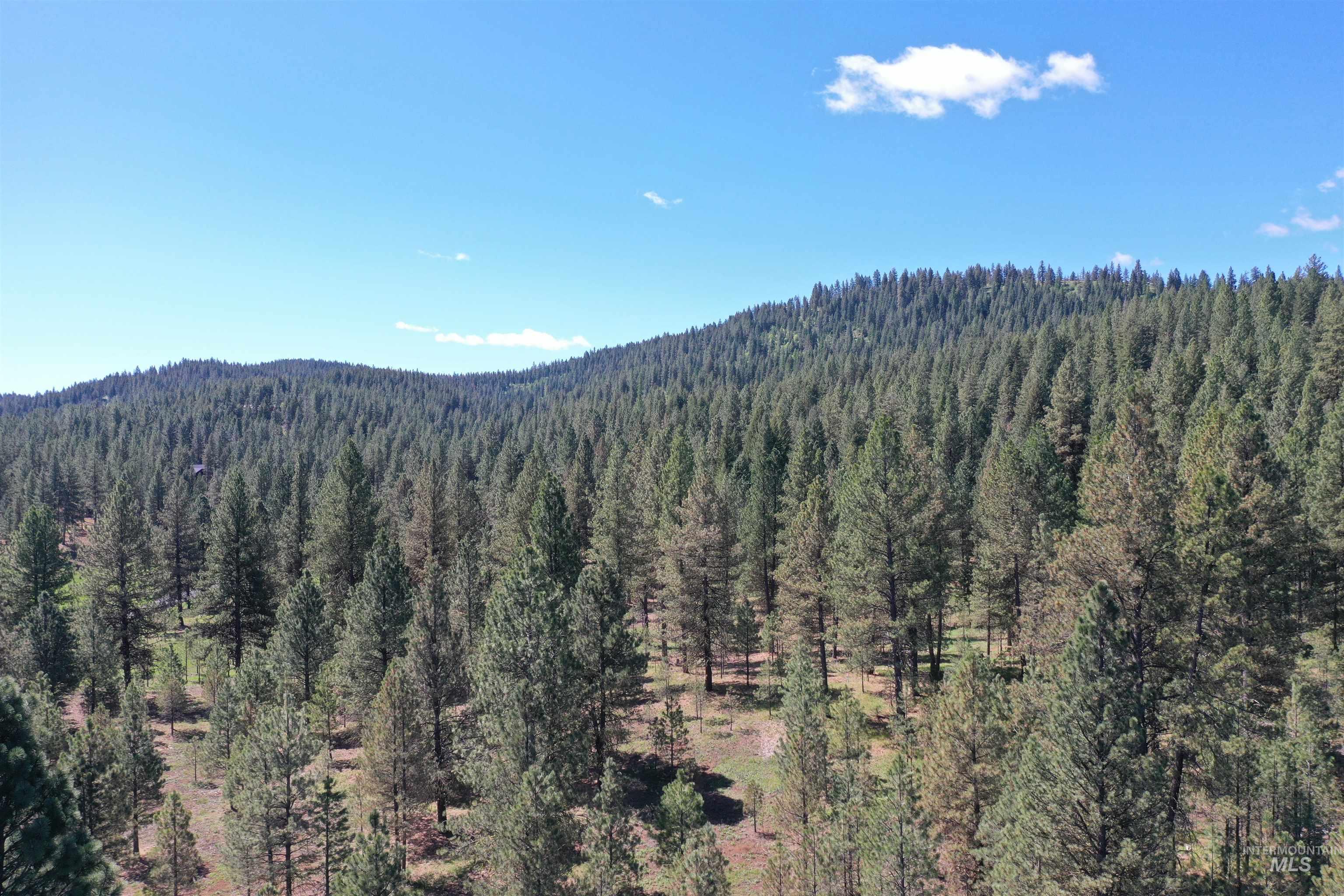 Lot 44 Old Hwy 95 Property Photo 7