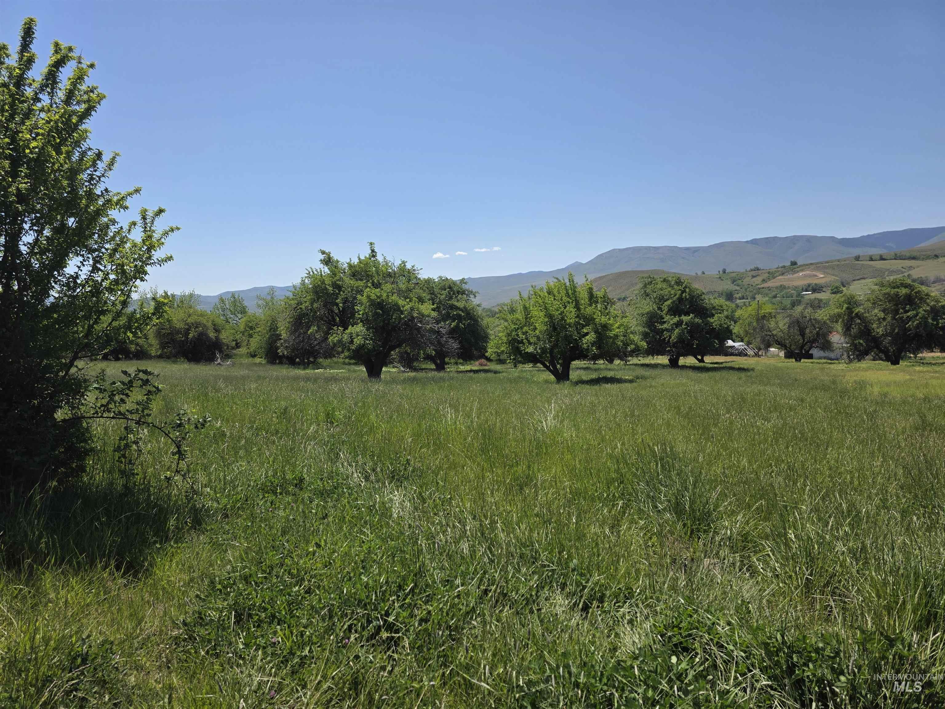 43310 Eagle Creek Rd Property Photo 4
