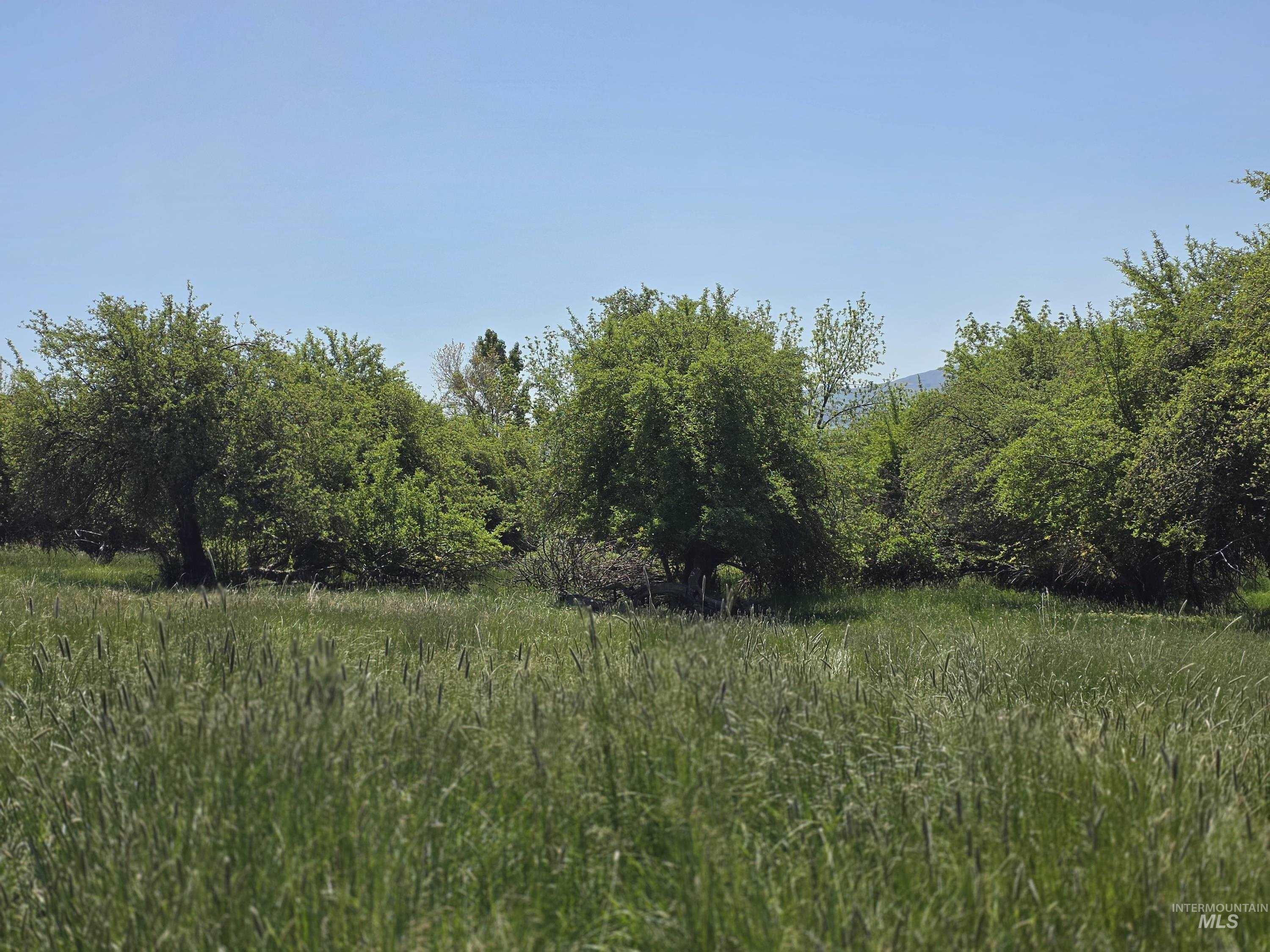 43310 Eagle Creek Rd Property Photo 5