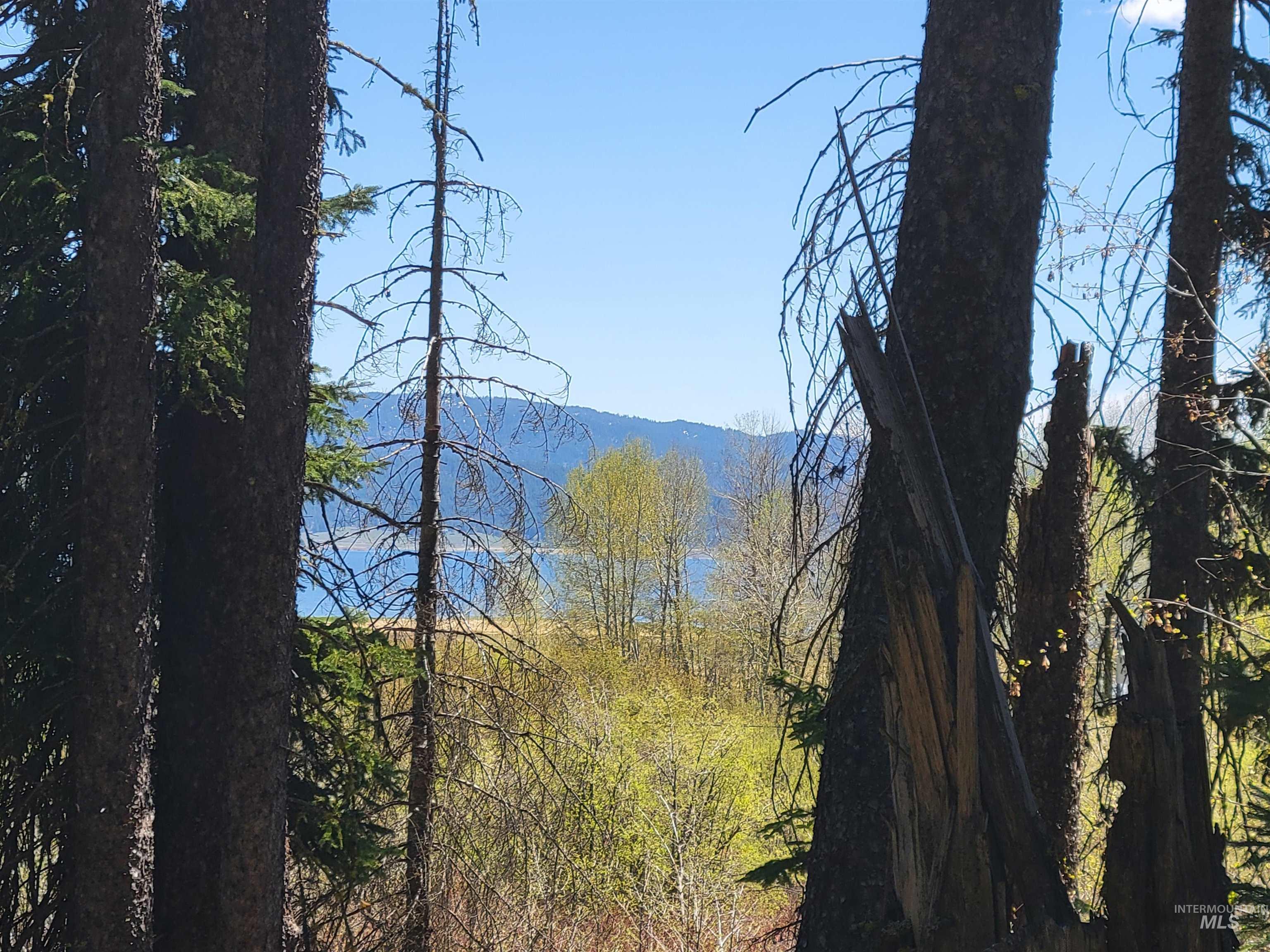 1602 Bear Trail Loop Property Photo 1