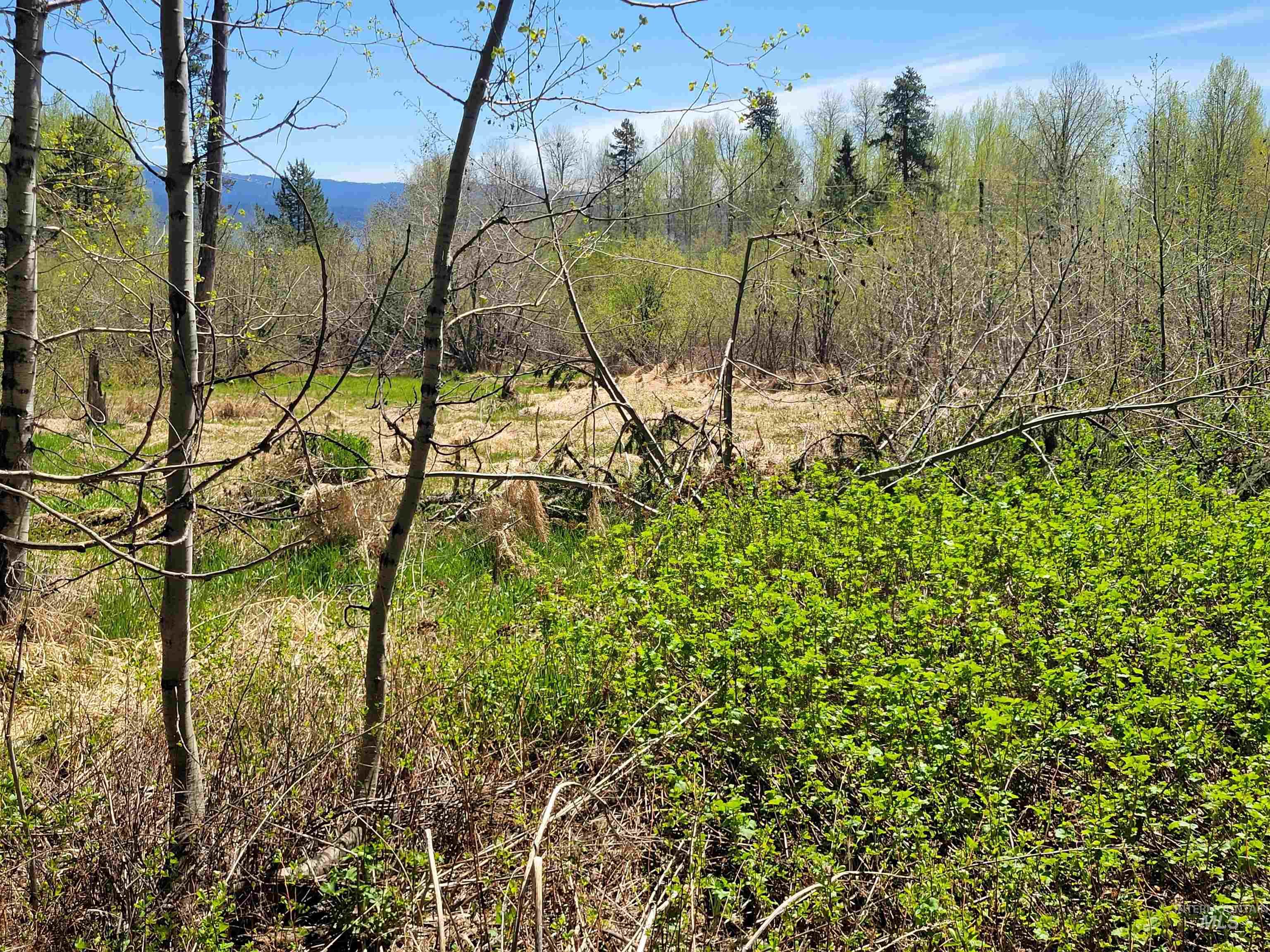 1602 Bear Trail Loop Property Photo 2