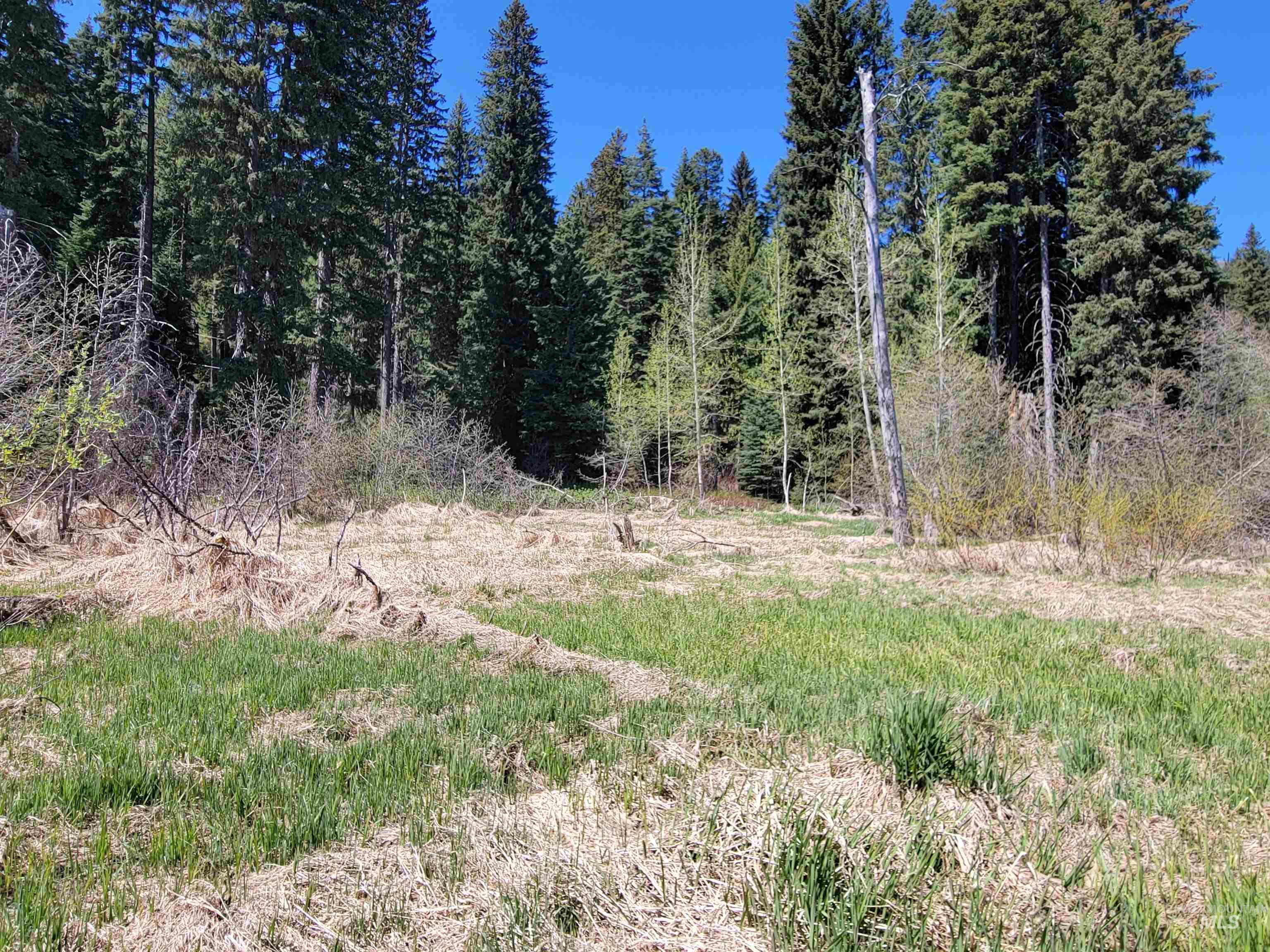 1602 Bear Trail Loop Property Photo 3