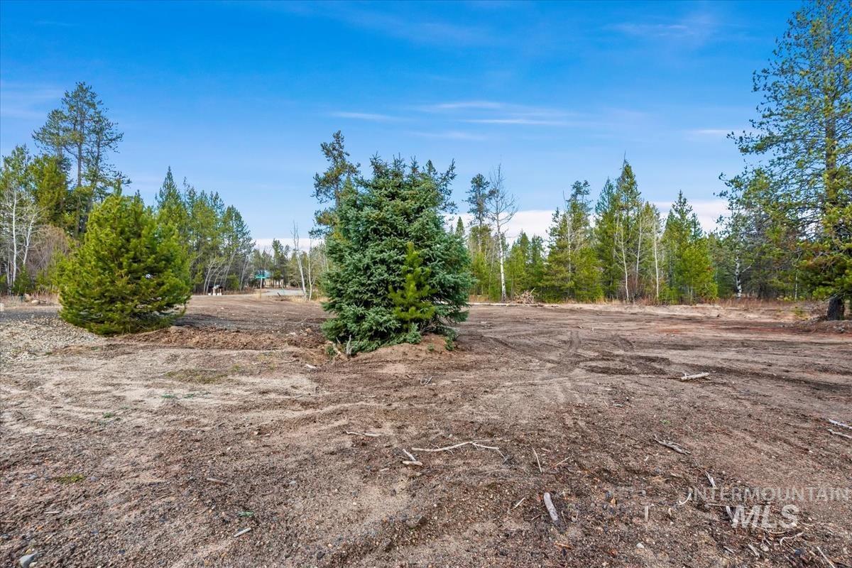 11 Pointe At Goldfork Ct Property Photo 8