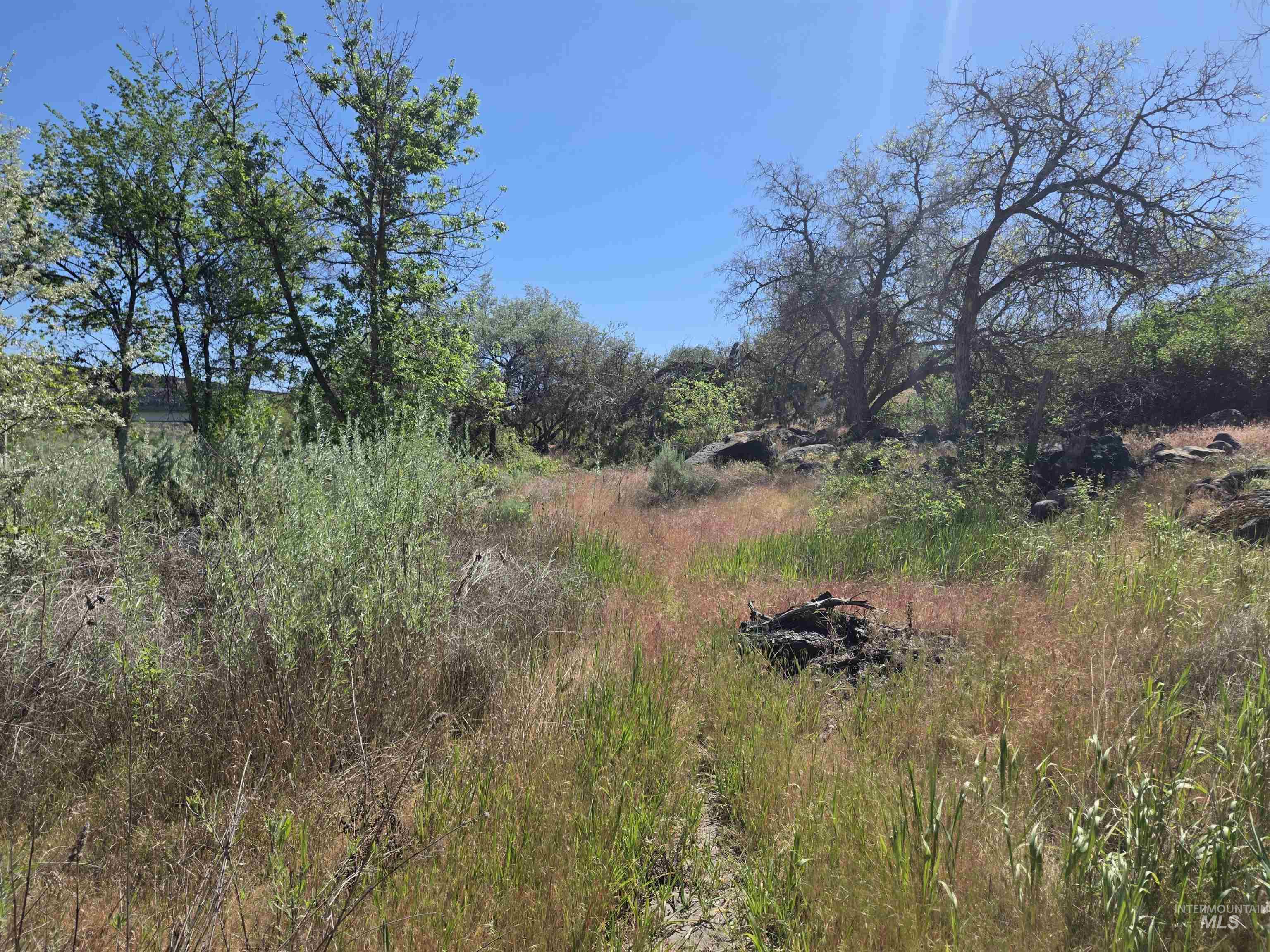 Tbd Lot 3 Block 1 Chessmore Drive Property Photo 15