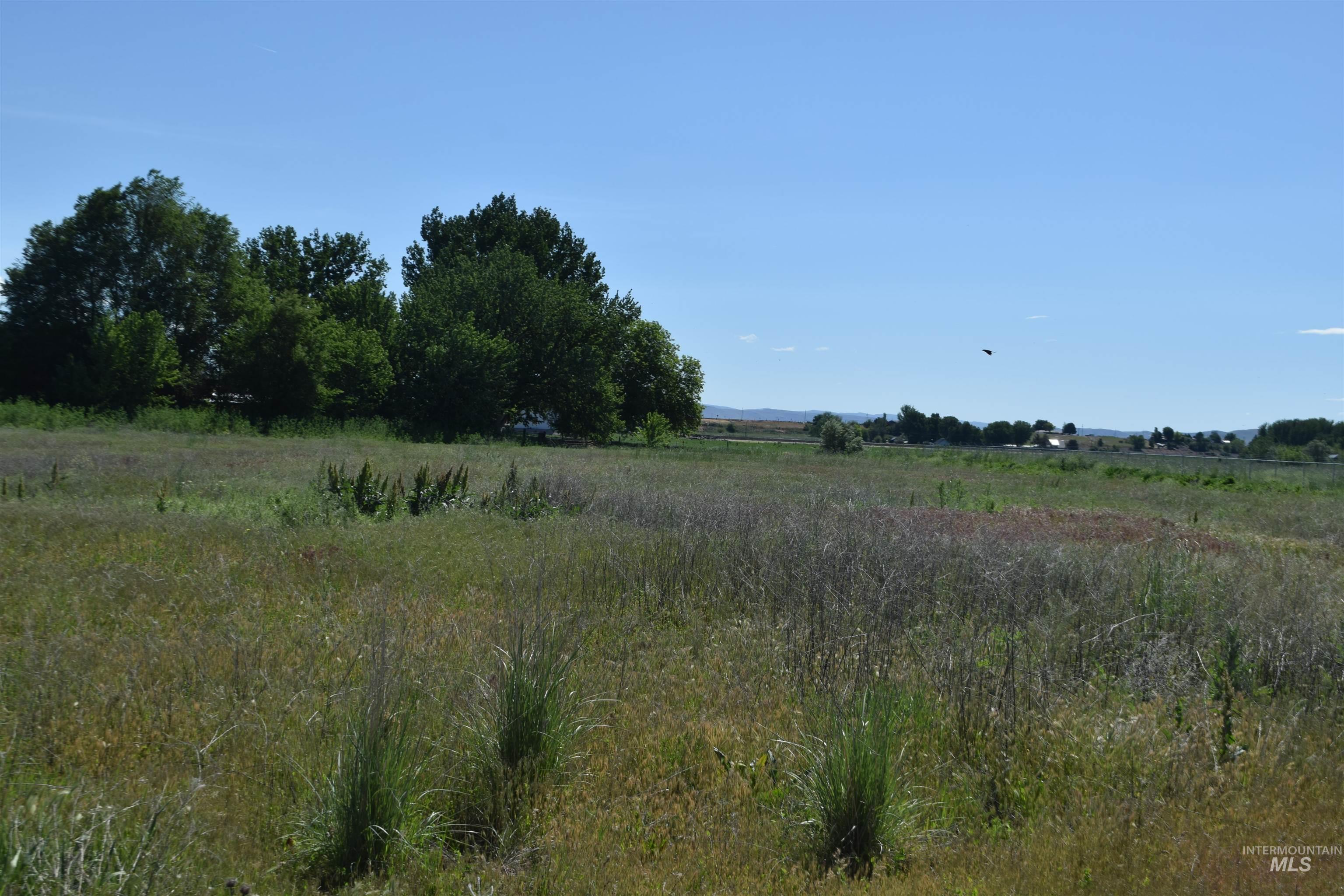 Tbd Couper Ln. Property Photo 5