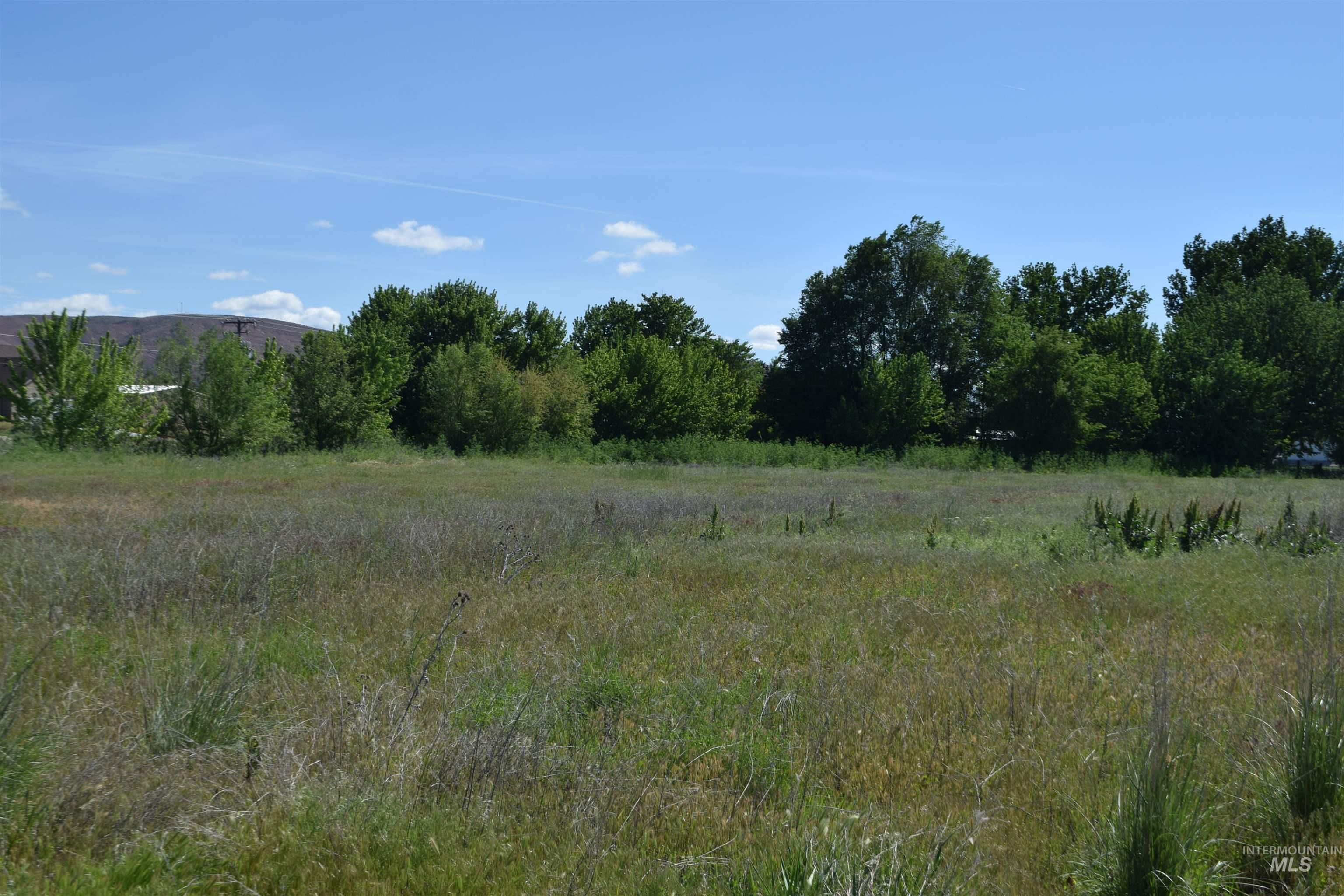 Tbd Couper Ln. Property Photo 6