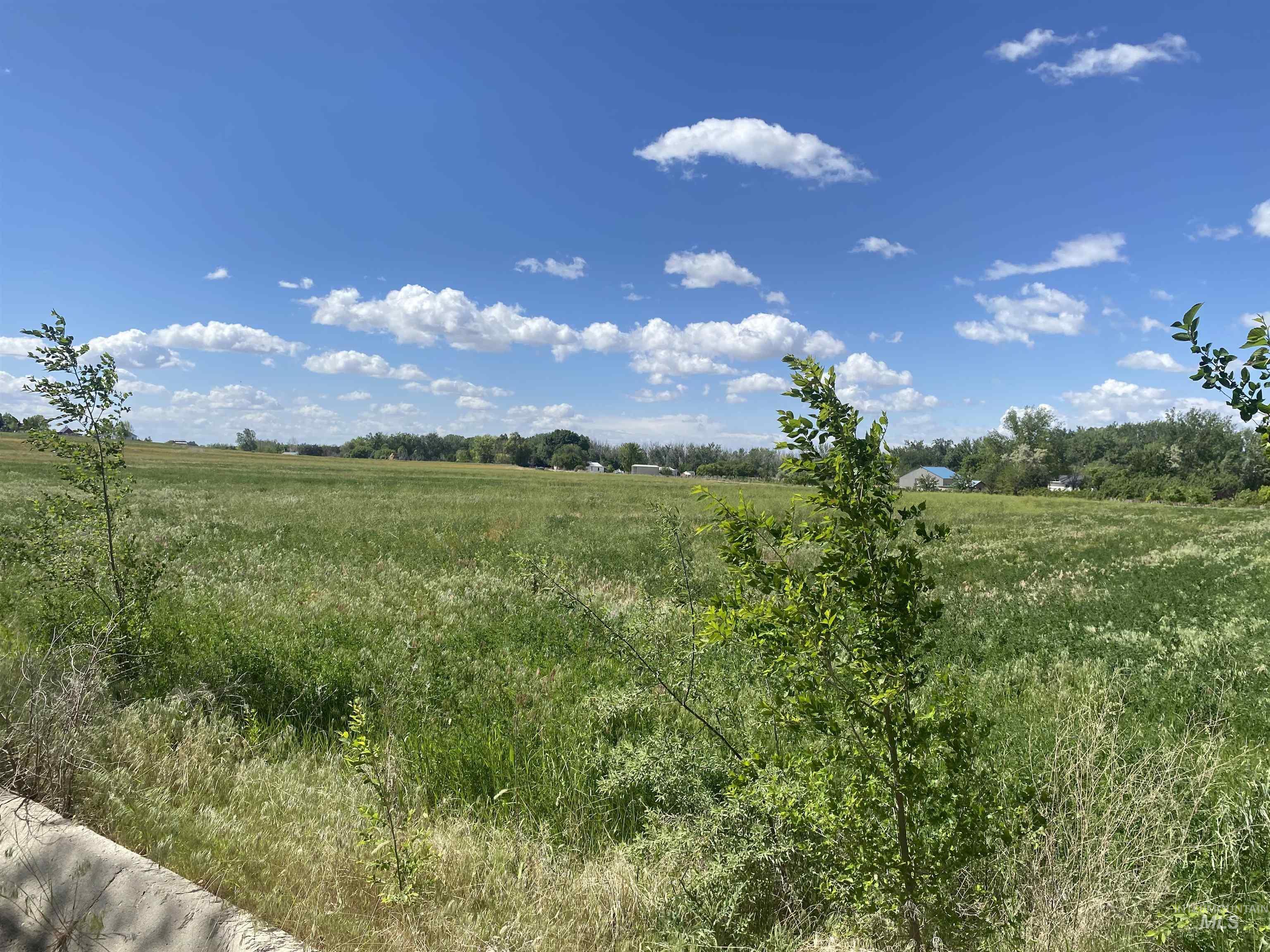 12411 Lake Shore Drive Property Photo 19