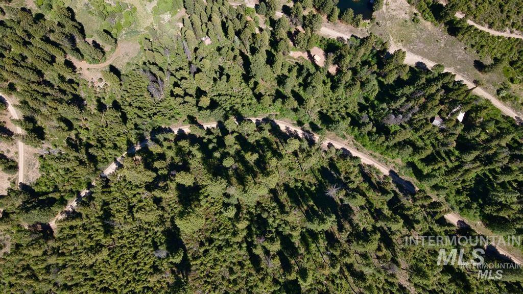 Tbd Forest Service Rd 542 Property Photo 3