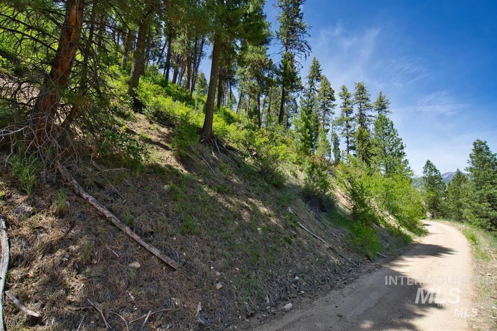 Tbd Forest Service Rd 542 Property Photo 7