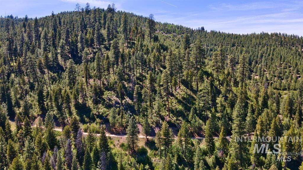 Tbd Forest Service Rd 542 Property Photo 9