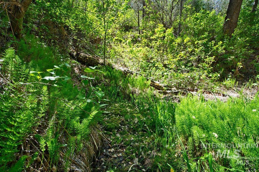 Tbd Forest Service Rd 542 Property Photo 12