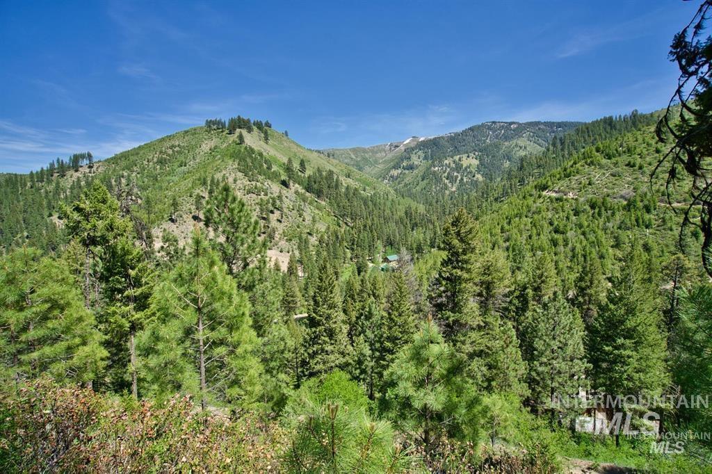 Tbd Forest Service Rd 542 Property Photo 1