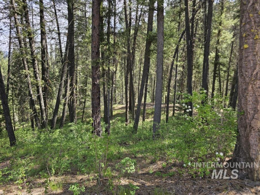 17 Thunder Rd Property Photo 5