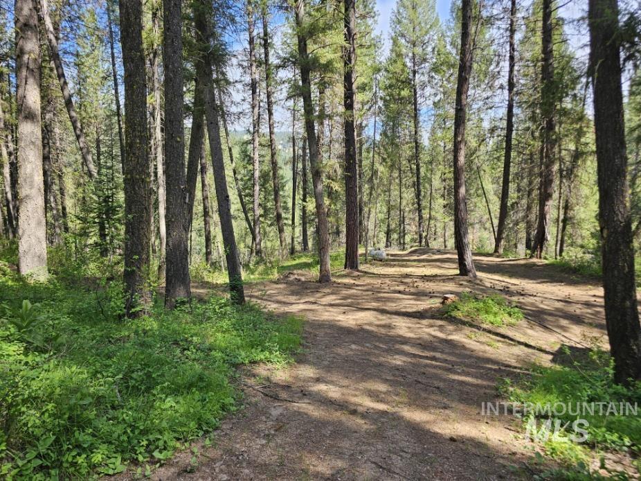 17 Thunder Rd Property Photo 8