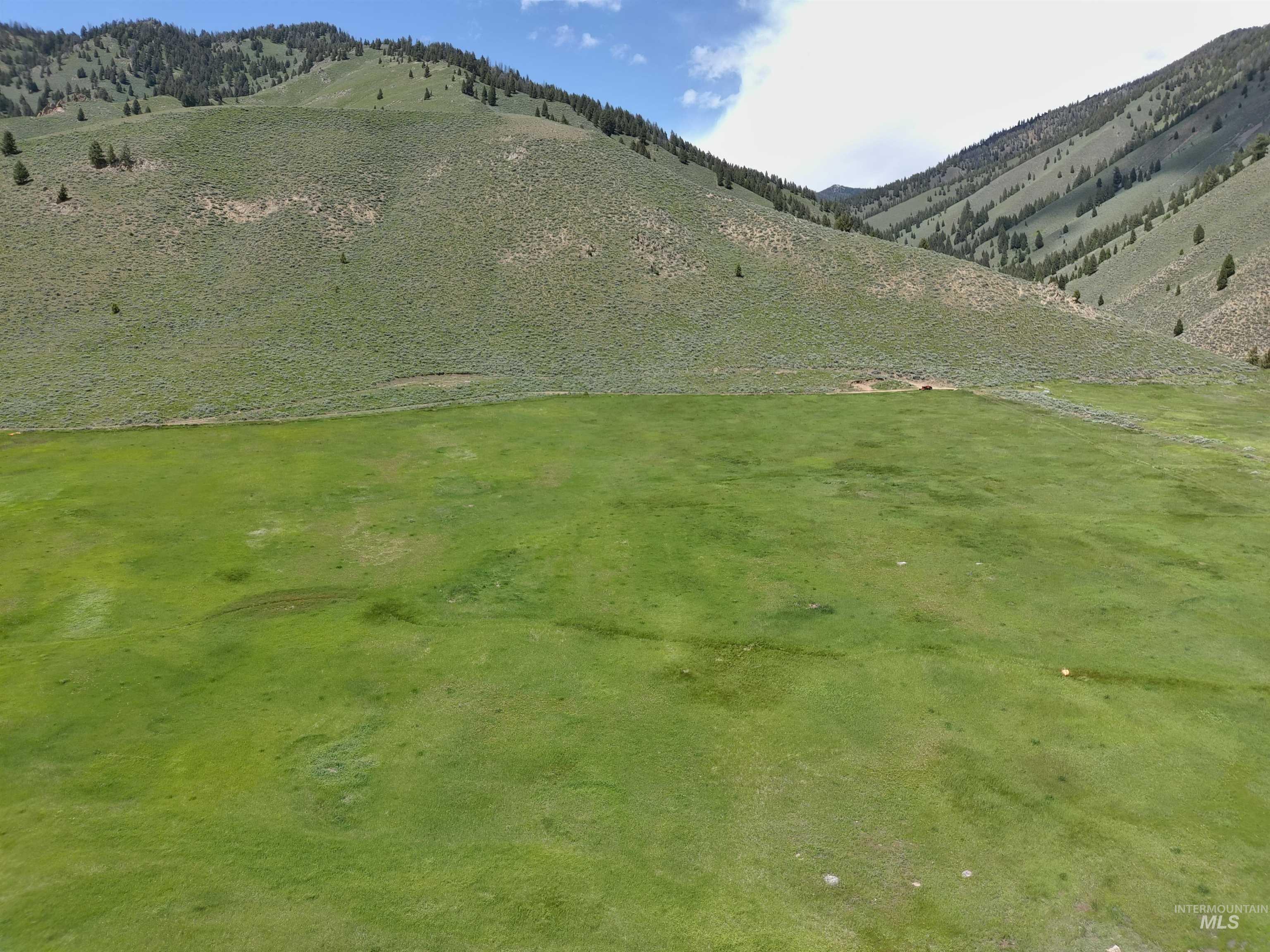 Parcel A Aspen Gulch Property Photo 9