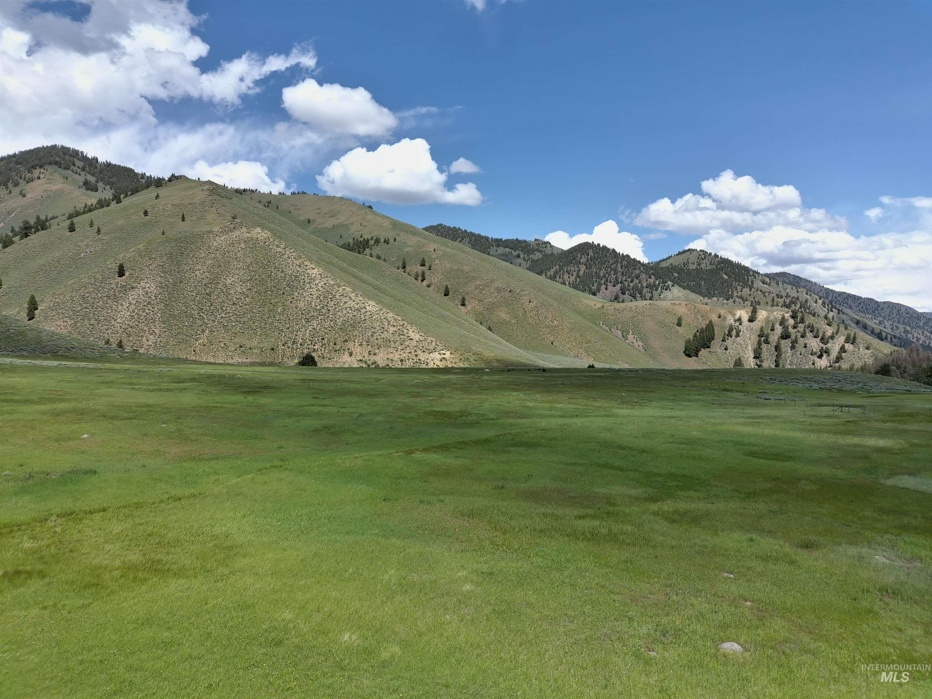 Parcel A Aspen Gulch Property Photo 10