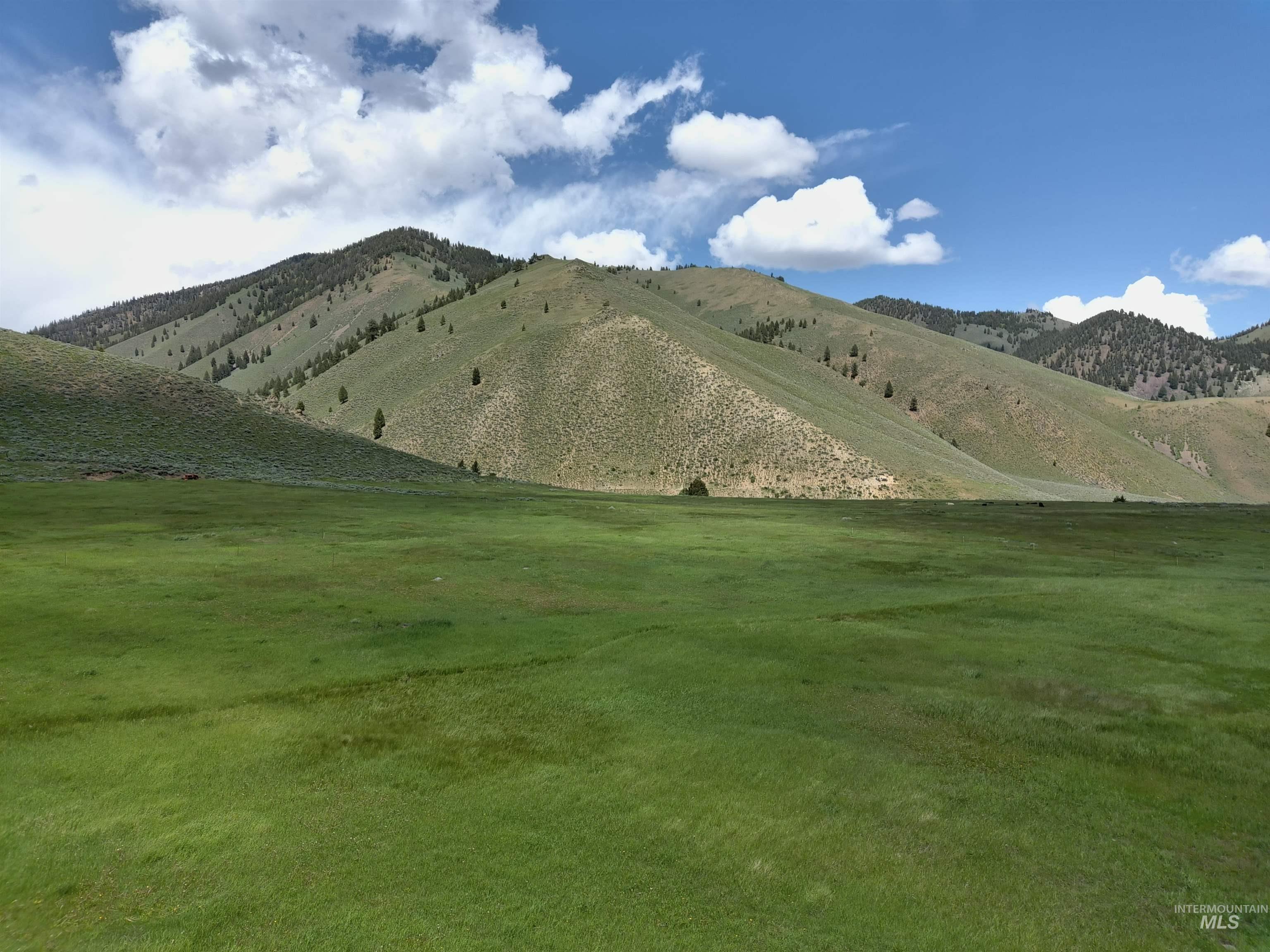 Parcel A Aspen Gulch Property Photo 13
