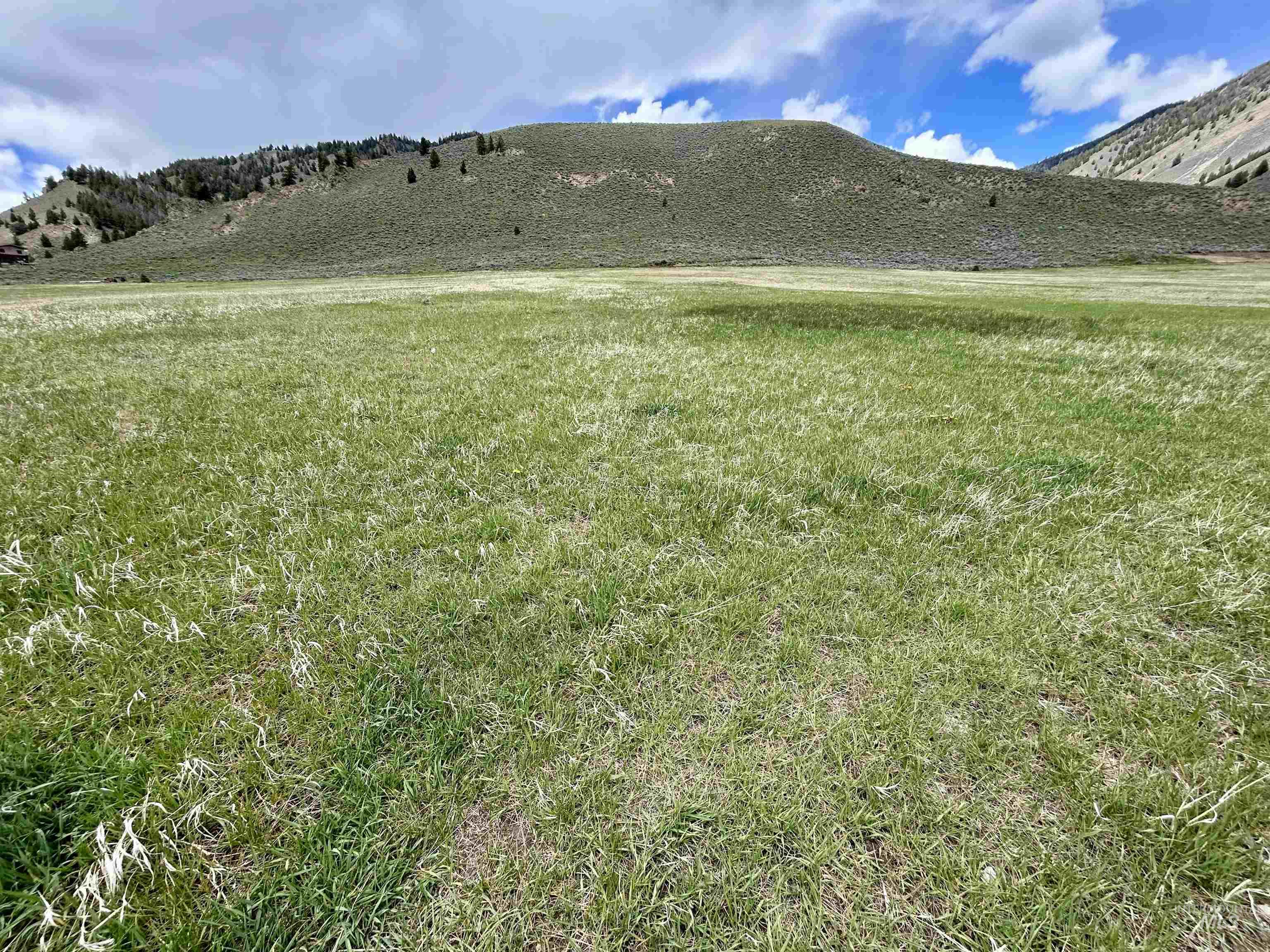 Parcel A Aspen Gulch Property Photo 23