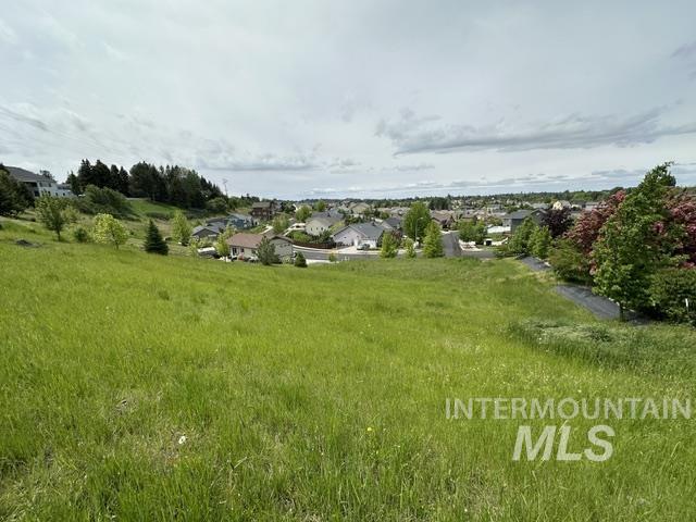 2533 Castleford St Property Photo 21