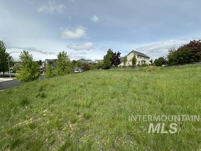 2533 Castleford St Property Photo 23