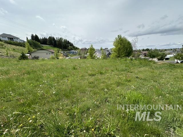 2533 Castleford St Property Photo 24