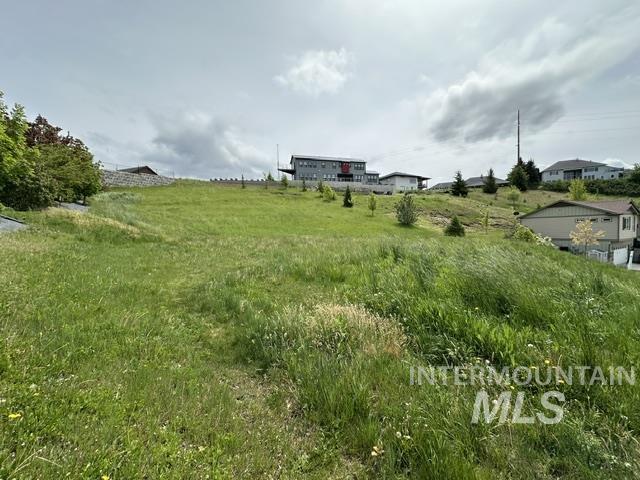 2533 Castleford St Property Photo 25