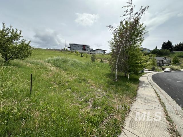 2533 Castleford St Property Photo 27