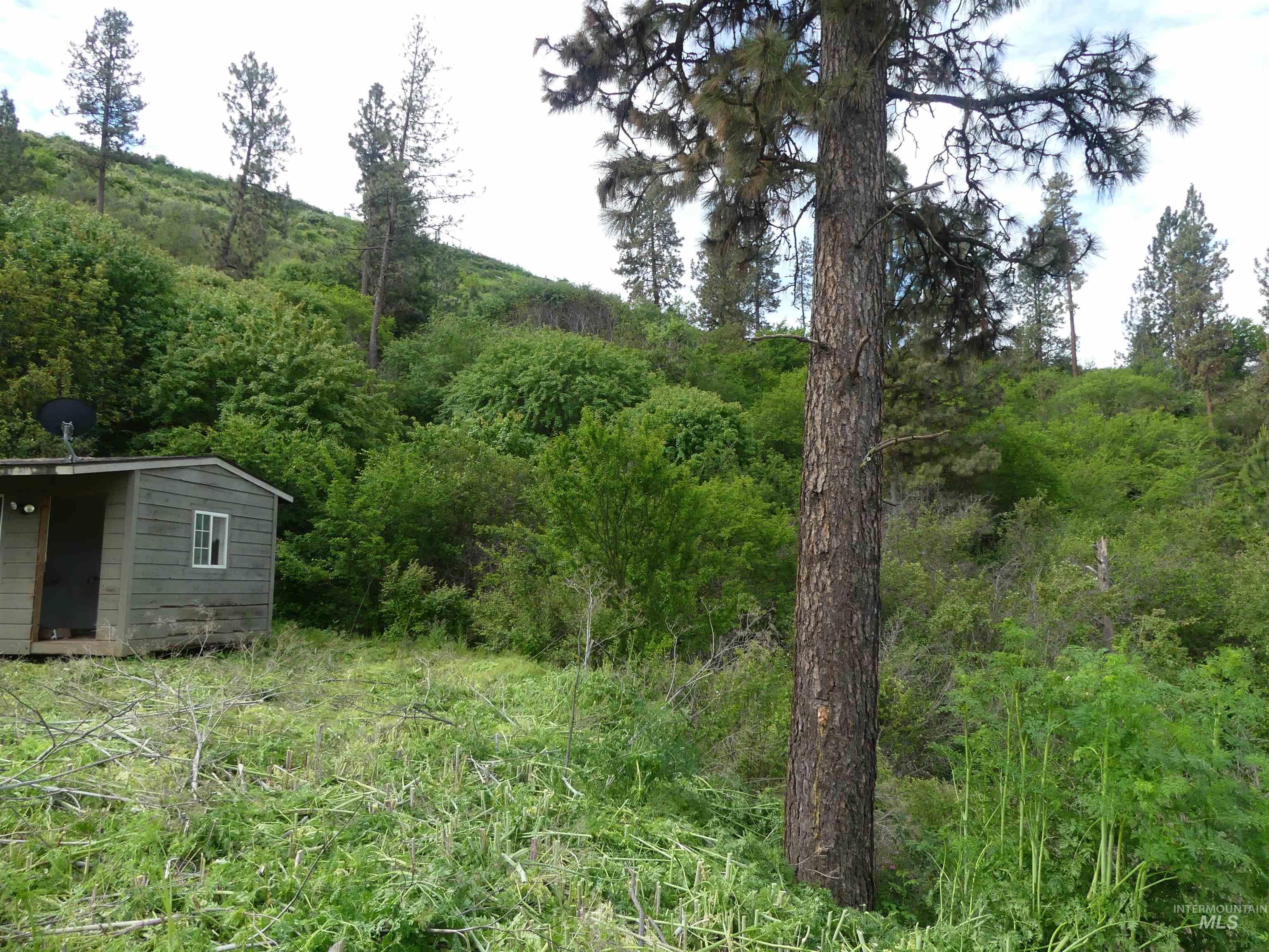 30100 Triumph Property Photo 2