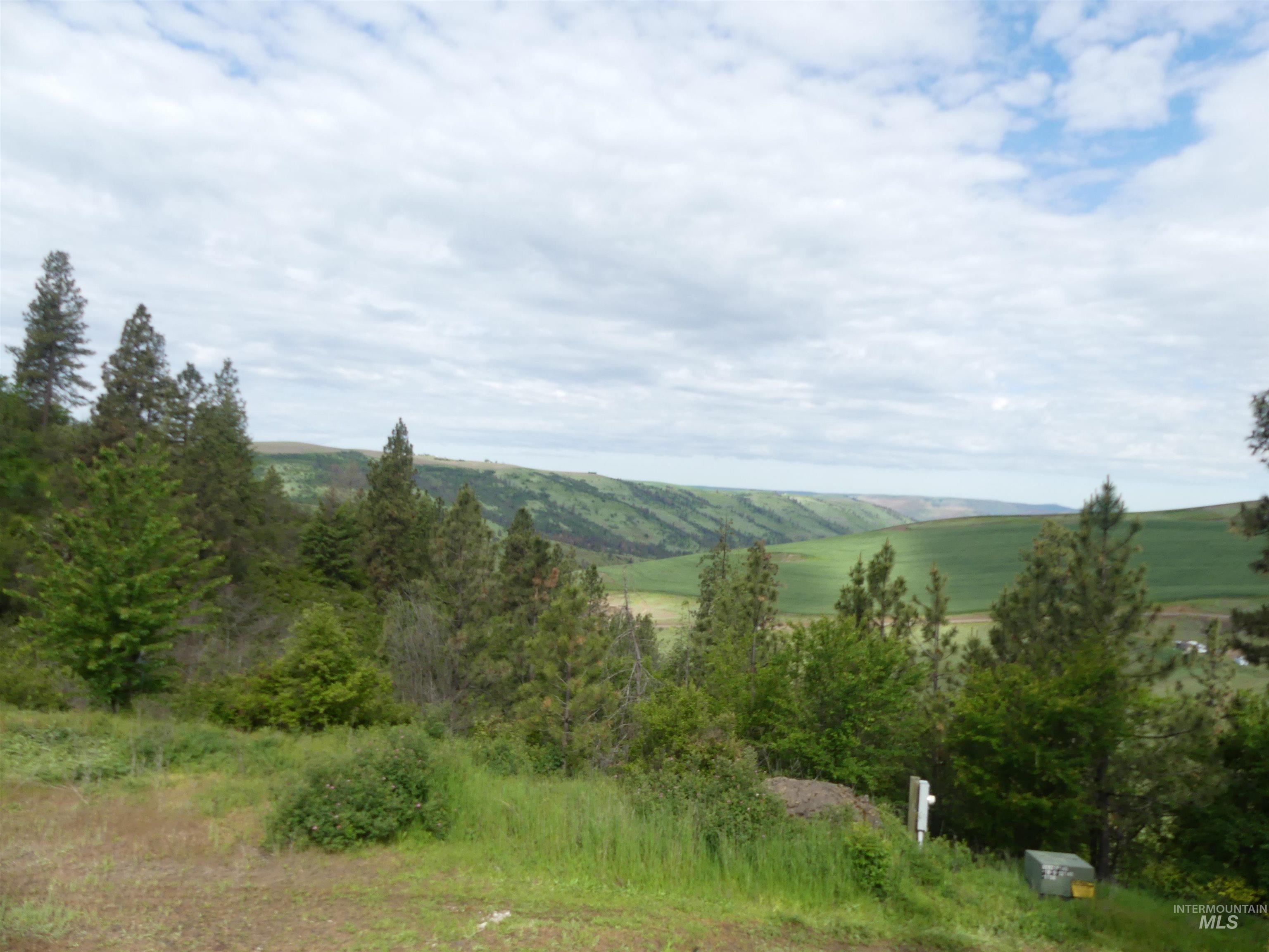 30100 Triumph Property Photo 16