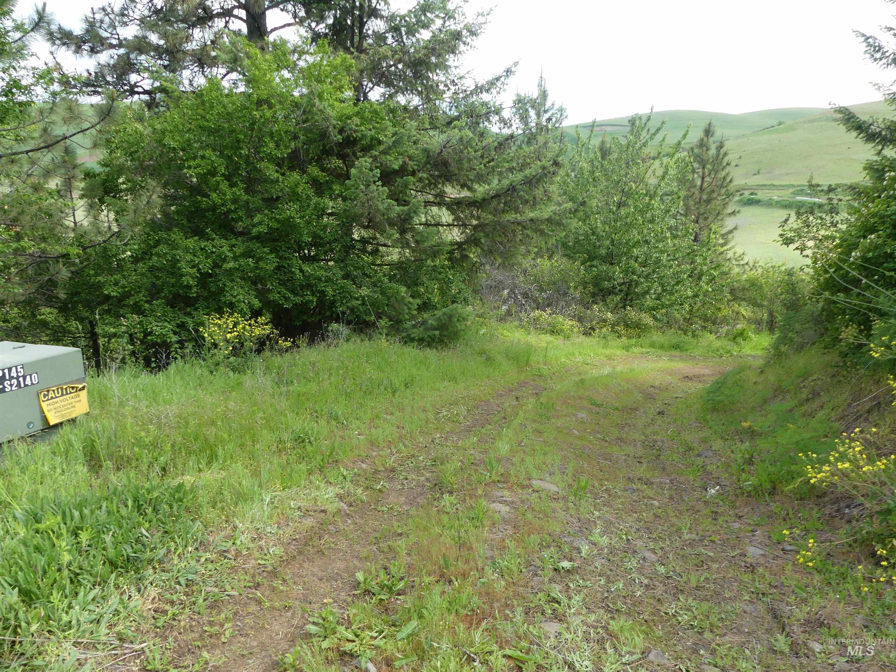 30100 Triumph Property Photo 20