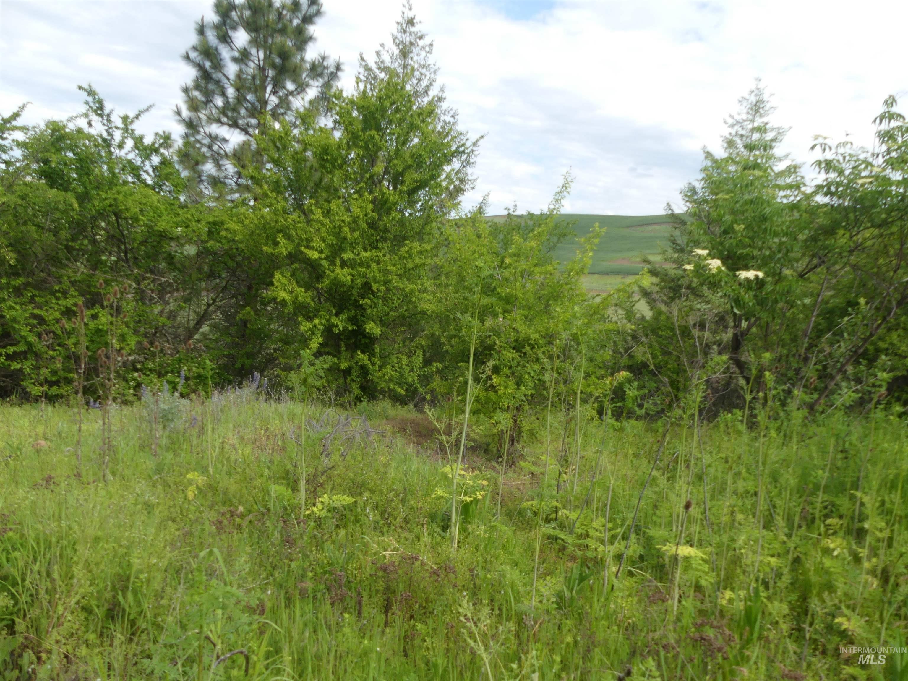 30100 Triumph Property Photo 24